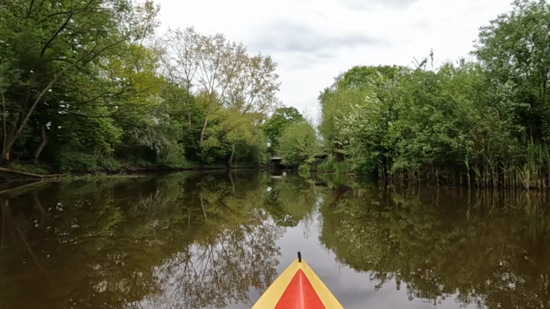 Uitzicht over de rustige Regge rivier omringd door natuur